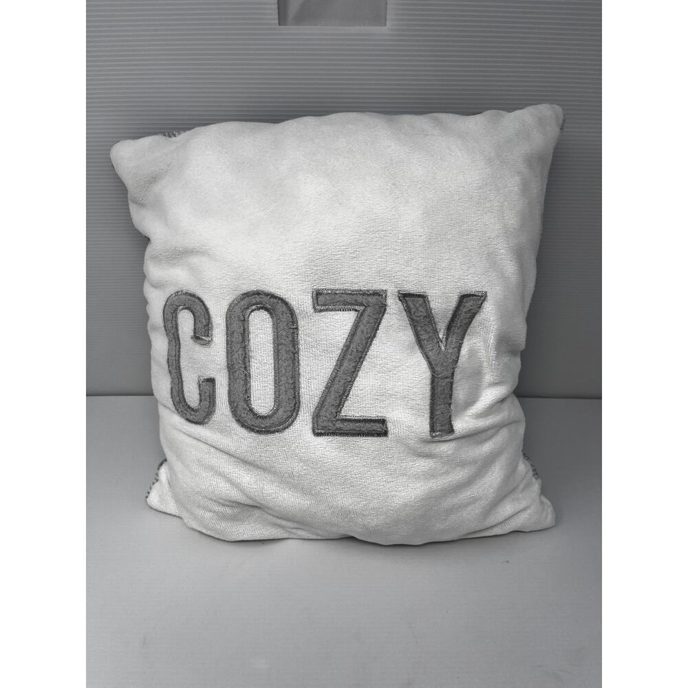 COZY soft Pillow Pre-Owned in fair condition 15 x 15 soft fabric